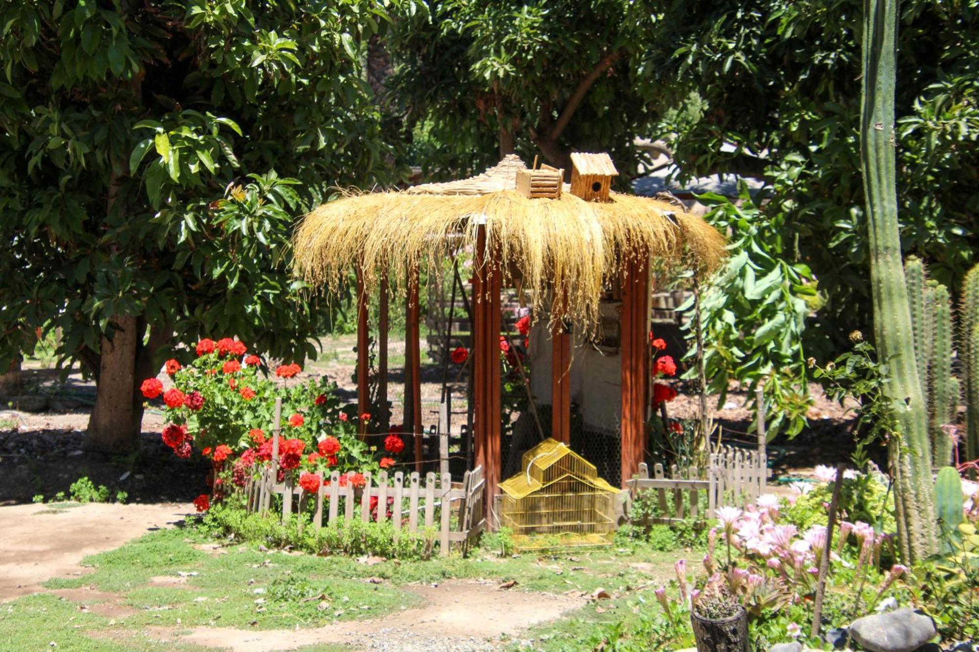 Alojamiento Rural Casa Quinta Peumayen Isla de Maipo Esterno foto