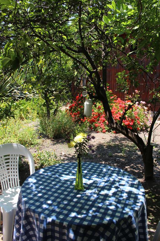 Alojamiento Rural Casa Quinta Peumayen Isla de Maipo Esterno foto